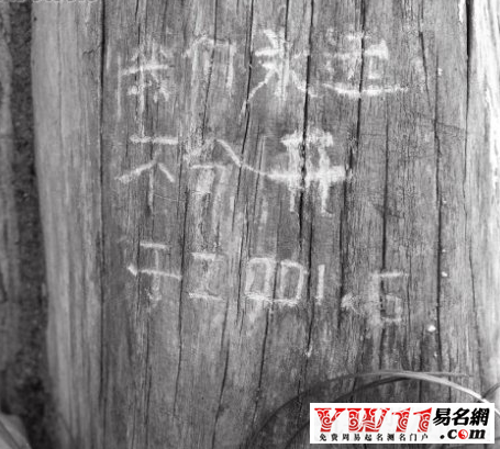 匆匆那年經(jīng)典語錄結局