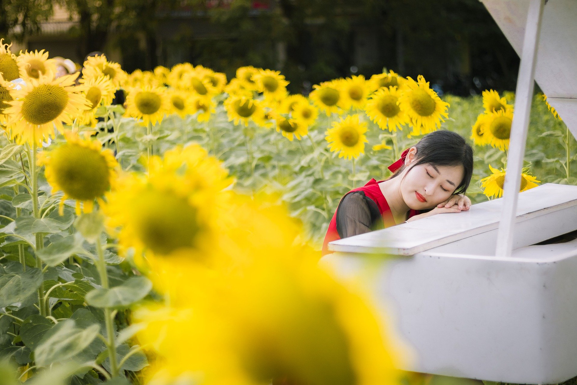 微信網(wǎng)名女生簡單氣質(zhì)成熟穩(wěn)重