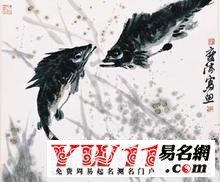 夢見抓到魚