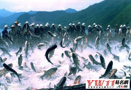 夢見水里撈魚，夢見撈了很多魚，夢見別人撈魚