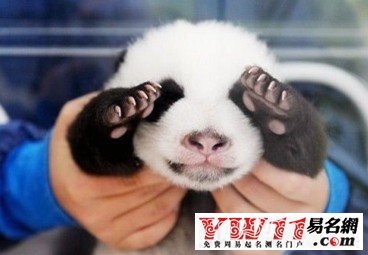 比較犀利的名字：豬肉漲價了，你也值錢了