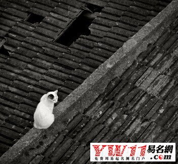 夢(mèng)見從高處摔下來(lái)