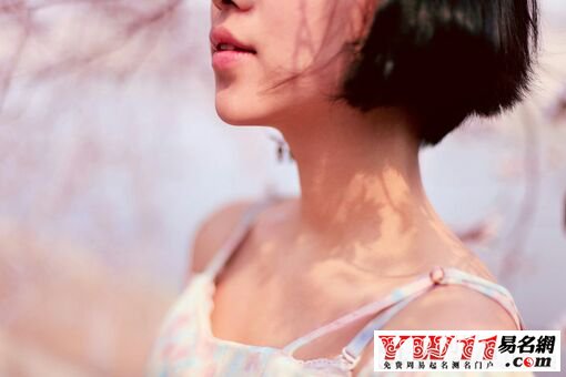 點擊查看大圖