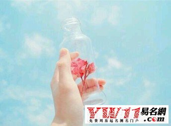 有詩意的網(wǎng)名大全