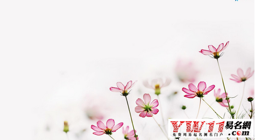最時(shí)尚的微博名字大全