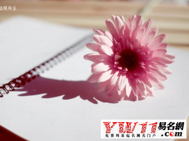 屬蛇人的2016年運(yùn)勢，屬蛇人運(yùn)勢怎么樣