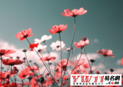 屬蛇人的2016年運(yùn)勢，屬蛇人運(yùn)勢怎么樣