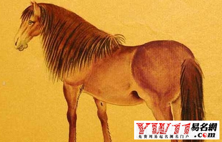 屬馬的年份之屬馬人的流年運(yùn)勢分析