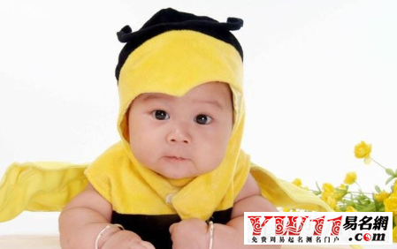 簡(jiǎn)單好聽的戴姓男孩名字大全