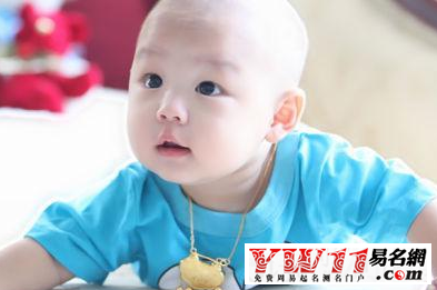 2017年出生屬雞人的命運(yùn)