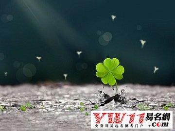 夢(mèng)見(jiàn)四葉草
