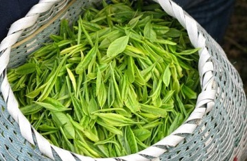 夢(mèng)見茶葉