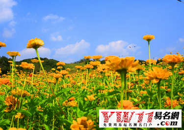 周公解夢(mèng)夢(mèng)見(jiàn)生病