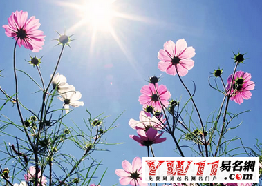 周公解夢(mèng)夢(mèng)見(jiàn)生病