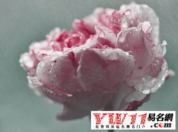 夢見下雨是什么征兆？