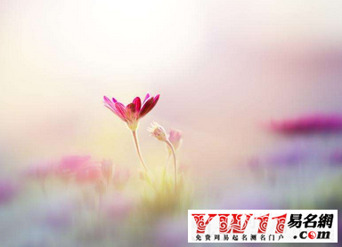 打動(dòng)女朋友的個(gè)性簽名