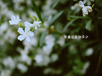 勵志好聽的女微信昵稱