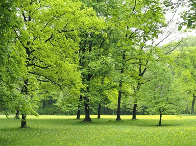 夢(mèng)見(jiàn)欠錢(qián)被追債