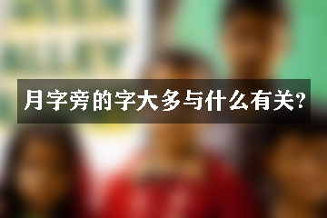 月字旁的字大多與什么有關?
