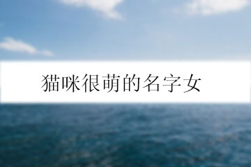 貓咪很萌的名字女