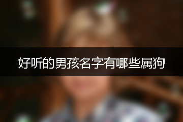 好聽(tīng)的男孩名字有哪些屬狗