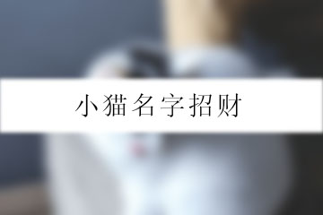 小貓名字招財