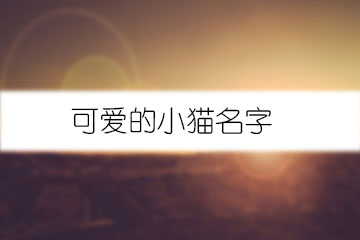 可愛(ài)的小貓名字