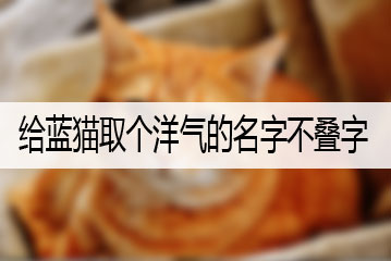 給藍貓取個洋氣的名字不疊字