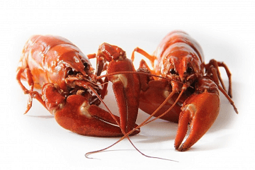 獨(dú)特的海鮮店名字有哪些